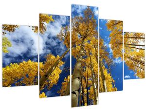 Obraz - Aspen (150x105 cm)