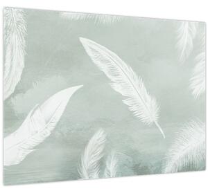 Obraz - Biele pierka (70x50 cm)
