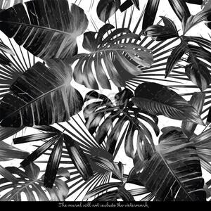 Fototapeta Karbonský prales Samolepící 250x250cm