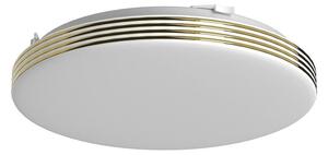 Stropné LED svietidlo Bever, 1x LED 10w, 4000k, g