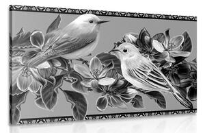 Obraz čiernobiele vtáčiky a kvety vo vintage prevedení Varianta: 120x80