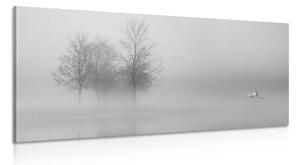 Obraz stromy v hmle v čiernobielom prevedení Varianta: 100x50
