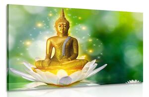 Obraz zlatý Budha na lotosovom kvete Varianta: 60x40