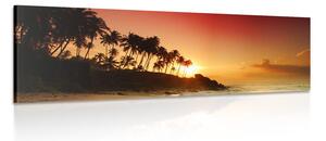 Obraz západ slnka na Srí Lanke Varianta: 150x50