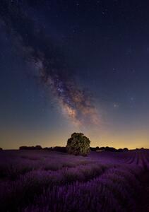 Umelecká fotografie Milky Way dreams, Carlos Hernandez Martinez, (26.7 x 40 cm)
