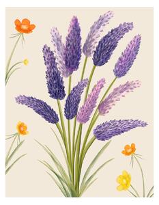 Ilustrácia Purple flower, Bohonewart, (30 x 40 cm)