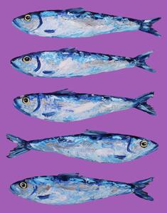 Ilustrácia Sardines on Purple, Alice Straker, (30 x 40 cm)