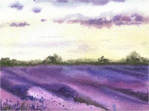 Ilustrácia Watercolor lavender field, hand drawn Provencal, Elena Dorosh