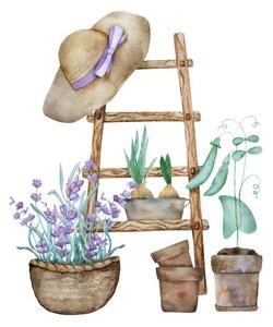 Ilustrácia Beautiful lavender provence watercolor illustration, VYCHEGZHANINA