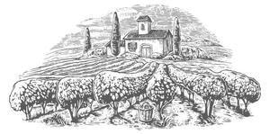 Ilustrácia Rural landscape with villa, vineyard fields, DenPotisev, (40 x 22.5 cm)