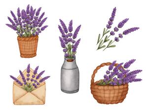Ilustrácia Set watercolor lavender bouquet in bucket,, Evgeniya Sheydt