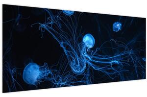 Obraz - Medúzy (120x50 cm)