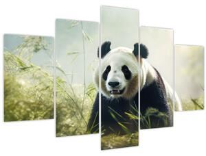 Obraz - Panda (150x105 cm)