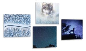 Set obrazov samotársky vlk Varianta: 4x 40x40