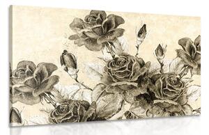 Obraz vintage kytica ruží v sépiovom prevedení Varianta: 60x40