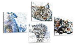 Set obrazov zvieratá v zaujímavom akvarelovom prevedení Varianta: 4x 40x40
