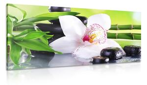 Obraz orchidea s japonskou tematikou