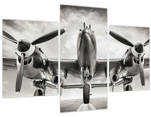 Obraz - Warbird (90x60 cm)