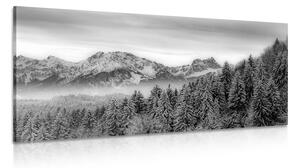 Obraz zamrznuté hory v čiernobielom prevedení Varianta: 100x50