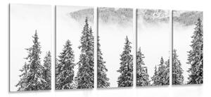 5-dielny obraz zasnežené borovicové stromy v čiernobielom prevedení Varianta: 100x50