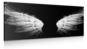 Obraz čiernobiele anjelské krídla Varianta: 100x50