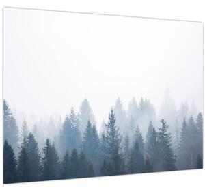 Obraz - Zahmlený les (70x50 cm)