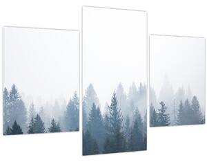 Obraz - Zahmlený les (90x60 cm)