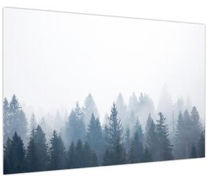 Obraz - Zahmlený les (90x60 cm)