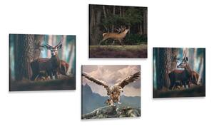 Set obrazov krása lesných zvierat Varianta: 4x 40x40
