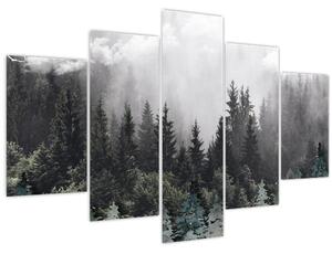 Obraz - Les s ilustrovanými prvkami (150x105 cm)