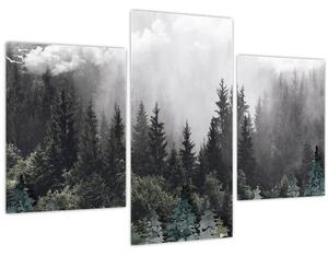 Obraz - Les s ilustrovanými prvkami (90x60 cm)