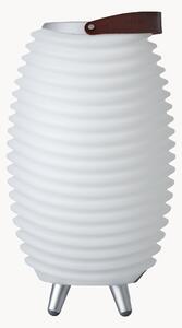 Prenosná stmievateľná záhradná LED lampa s reproduktorom Synergy S