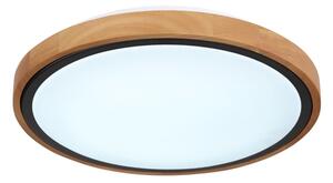 Globo 41764-12 - LED Stropné svietidlo BRUNO LED/12W/230V 307 mm 3000/4500/6000K
