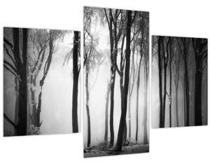 Obraz - Vlk v temnom lese (90x60 cm)