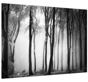 Obraz - Vlk v temnom lese (70x50 cm)