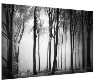Obraz - Vlk v temnom lese (90x60 cm)