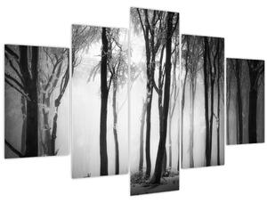 Obraz - Vlk v temnom lese (150x105 cm)