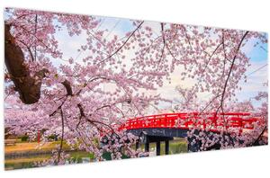 Obraz - Hirosaki, Japonsko (120x50 cm)