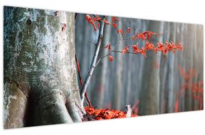 Obraz - Jeseň (120x50 cm)