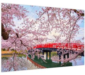 Obraz - Hirosaki, Japonsko (90x60 cm)