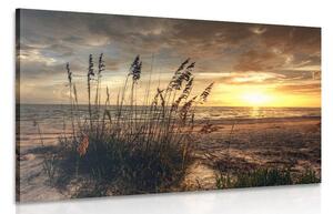 Obraz západ slnka na pláži Varianta: 120x80