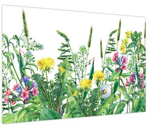 Obraz - Maľované lúčne kvety (90x60 cm)
