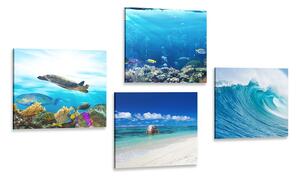 Set obrazov morský svet Varianta: 4x 40x40