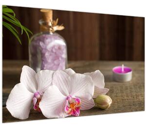 Obraz - Sviečka a orchidey (90x60 cm)