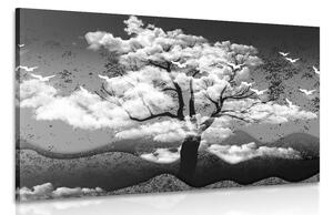 Obraz čiernobiely strom zaliaty oblakmi Varianta: 60x40