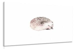 Obraz roztomilý ježko Varianta: 60x40