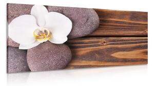 Obraz wellness kamene a orchidea na drevenom pozadí
