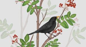 BLACKBIRD ON ROWAN TWIG 2 – format A3