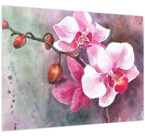Obraz - Orchidey, aquarel (70x50 cm)