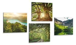 Set obrazov nádherná zelená príroda Varianta: 4x 40x40
